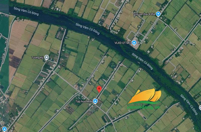 27.467.01 2060m2 đất lúa cách sông Vàm Cỏ Đông 500m